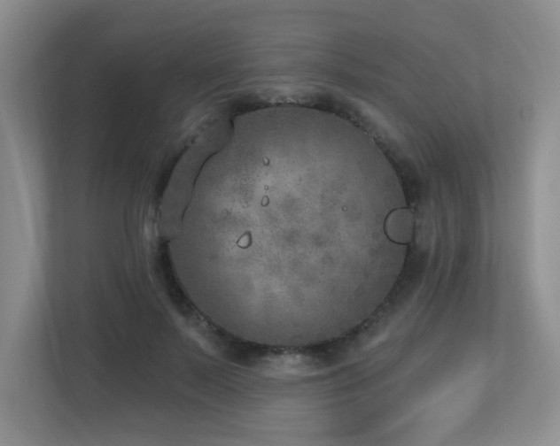 X0000112760695200908201438