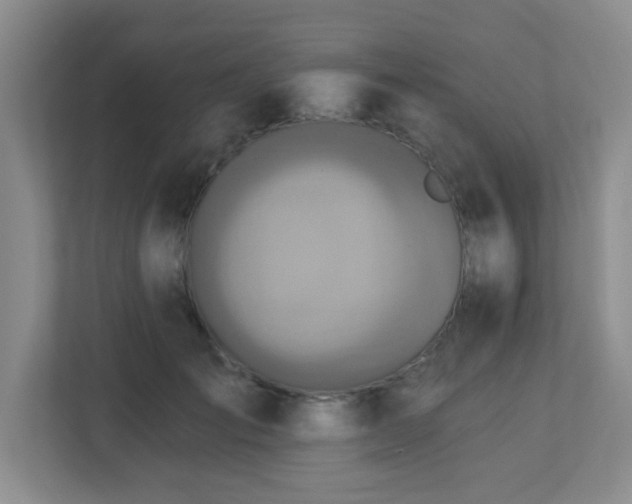 X0000112760701200908201438