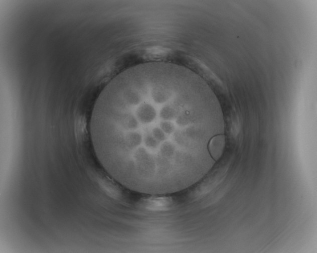 X0000112760711200908201438