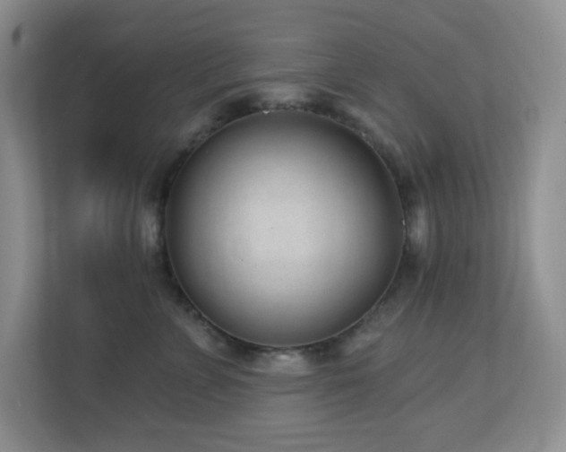 X0000112760715200908201438