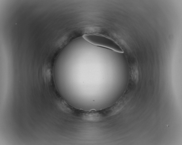 X0000112760716200908201438