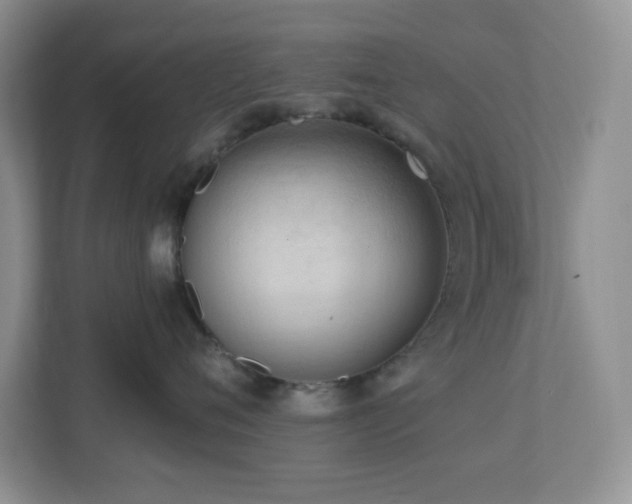 X0000112760720200908201438