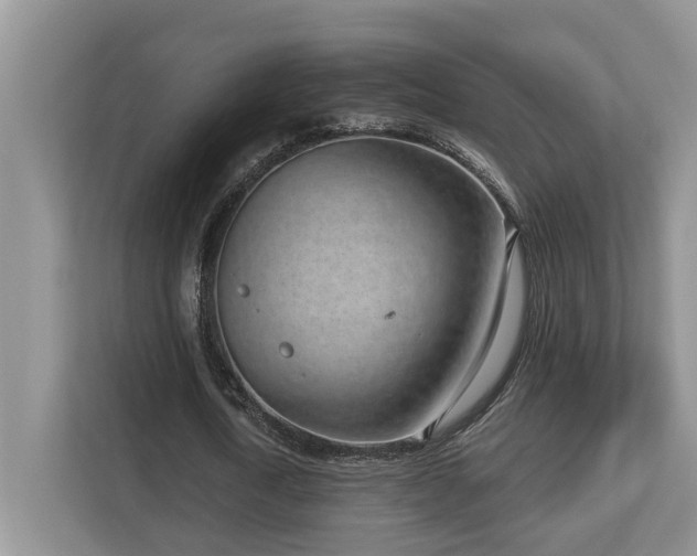 X0000112760722200908201437