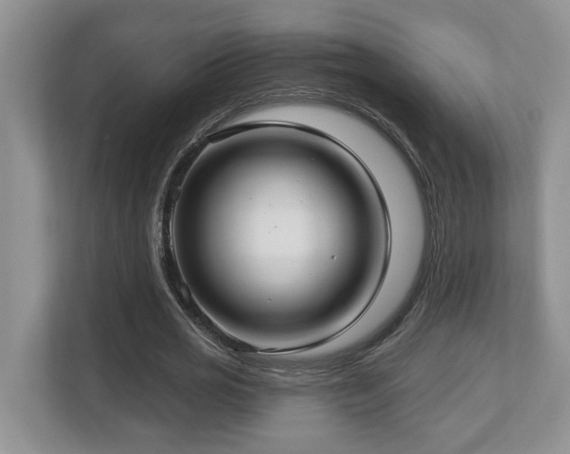 X0000112760725200908201437