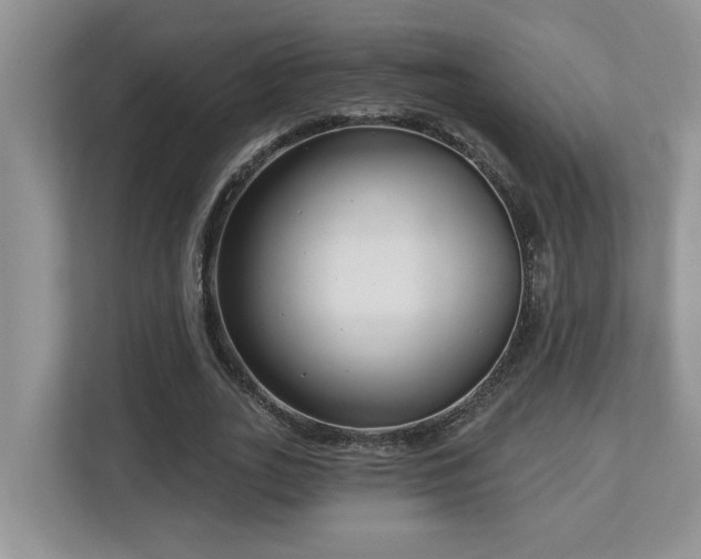 X0000112760727200908201437