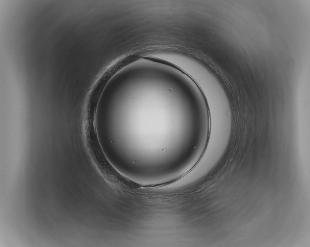 X0000112760728200908201437