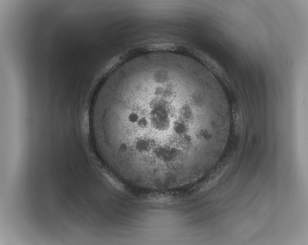 X0000112760729200908201437