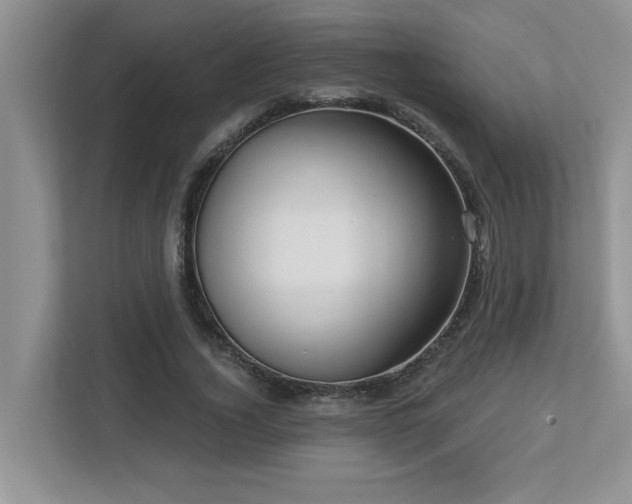 X0000112760732200908201437