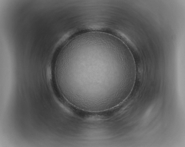X0000112760734200908201437