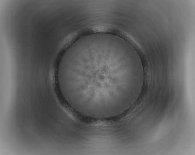 X0000112760738200908201437