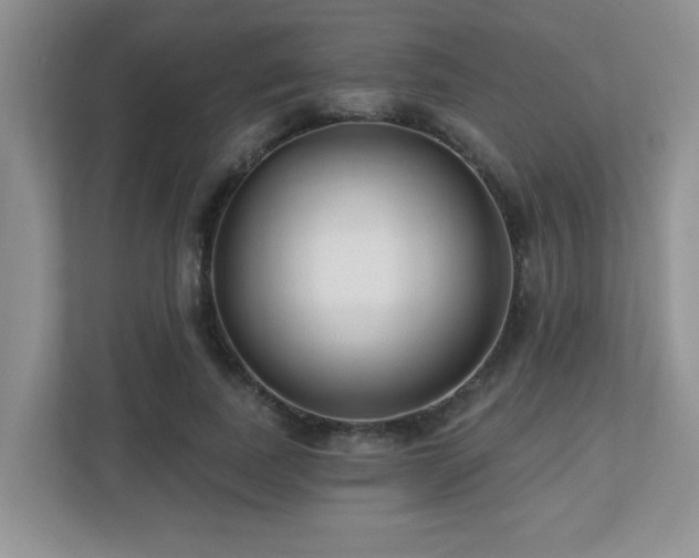 X0000112760739200908201437