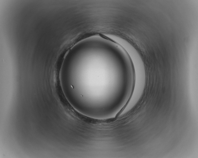 X0000112760740200908201437