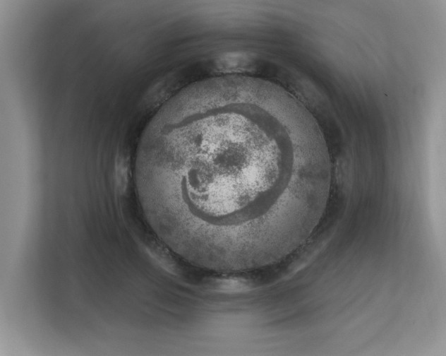 X0000112760741200908201437