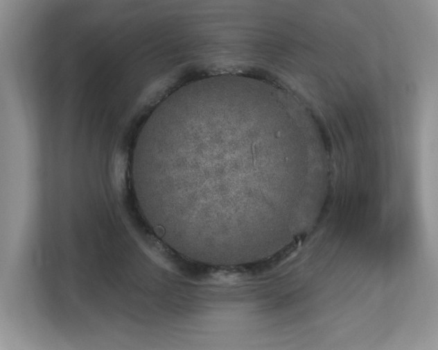 X0000112760742200908201437