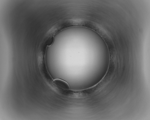 X0000112760744200908201437