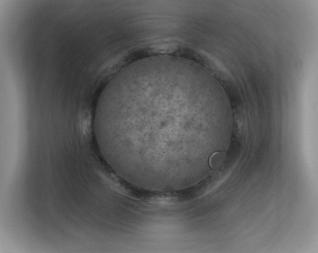 X0000112760745200908201437