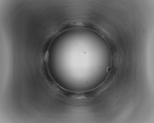 X0000112760747200908201437