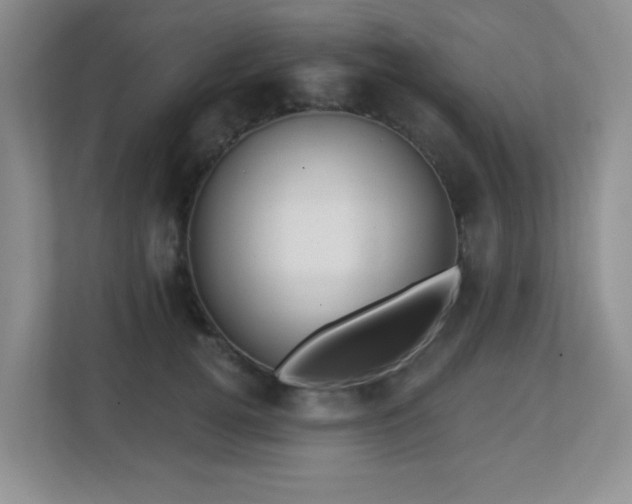 X0000112760752200908201438