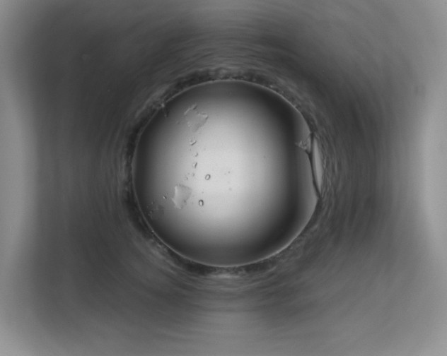 X0000112760756200908201438
