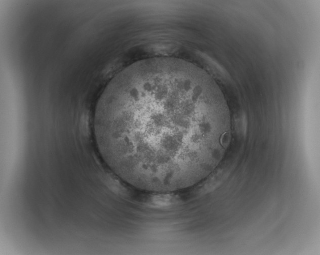X0000112760757200908201438