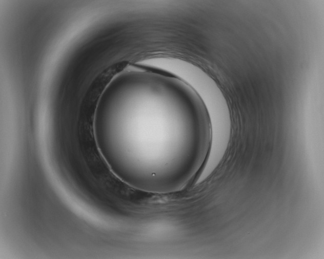 X0000112760764200908201438