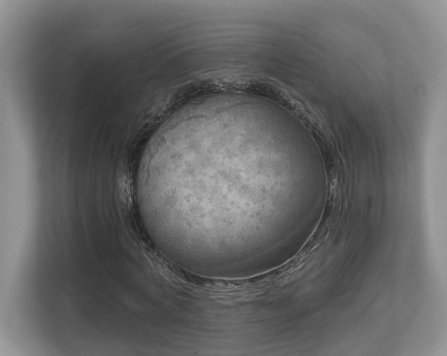 X0000112760772200908201437