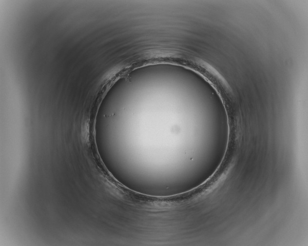 X0000112760777200908201437