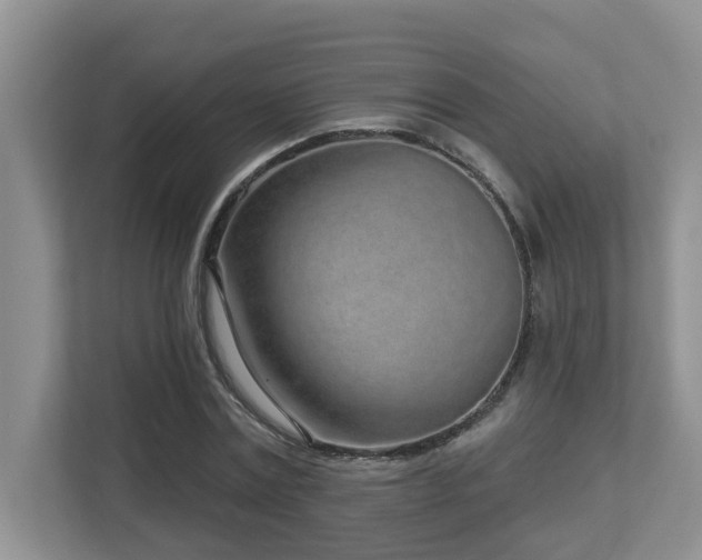 X0000112760779200908201437