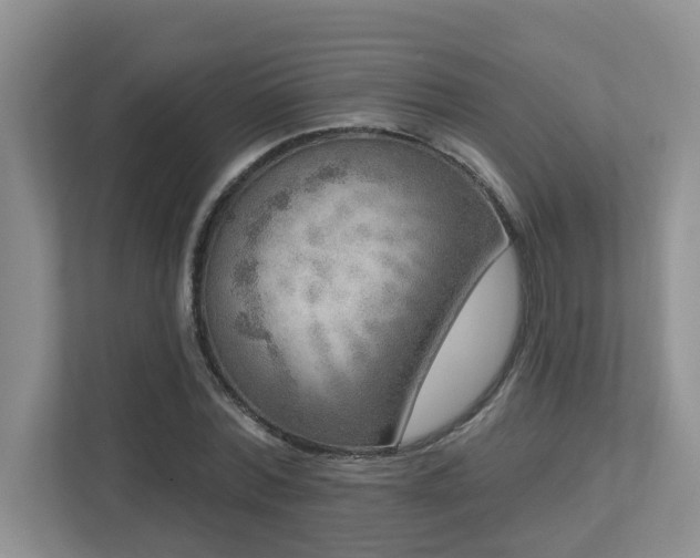 X0000112760780200908201437