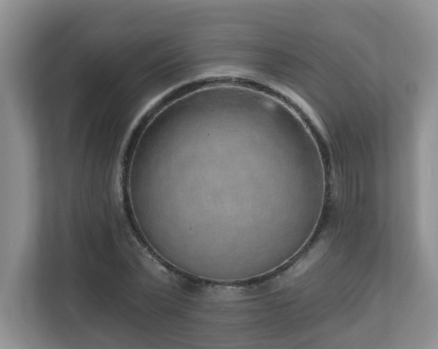 X0000112760783200908201437