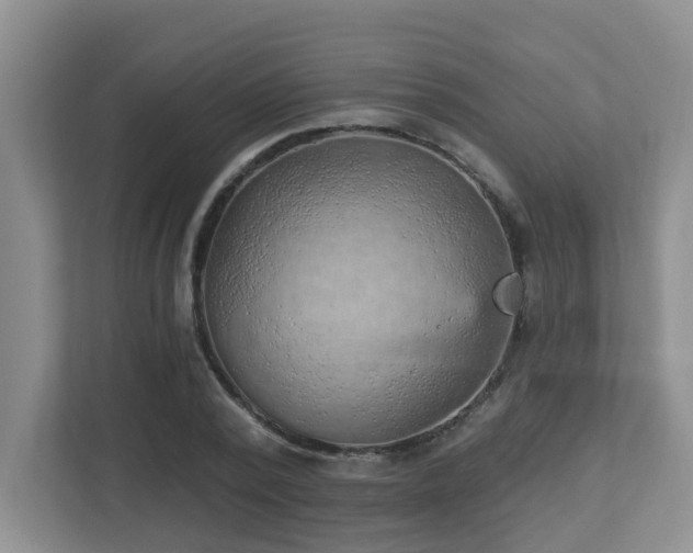 X0000112760784200908201437