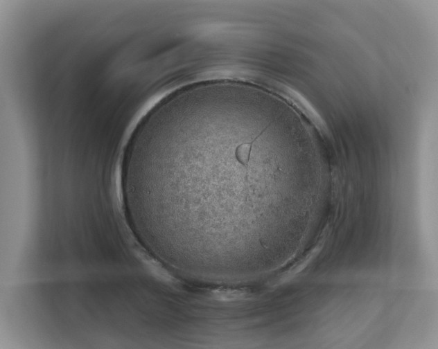X0000112760788200908201437