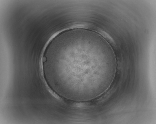 X0000112760792200908201437