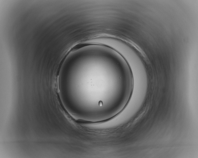 X0000112760793200908201437