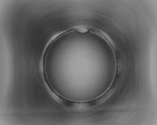 X0000112760795200908201437