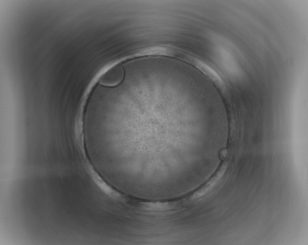 X0000112760800200908201437