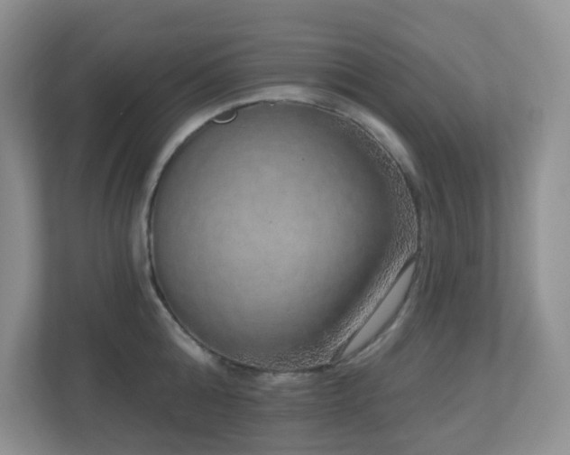 X0000112760808200908201437