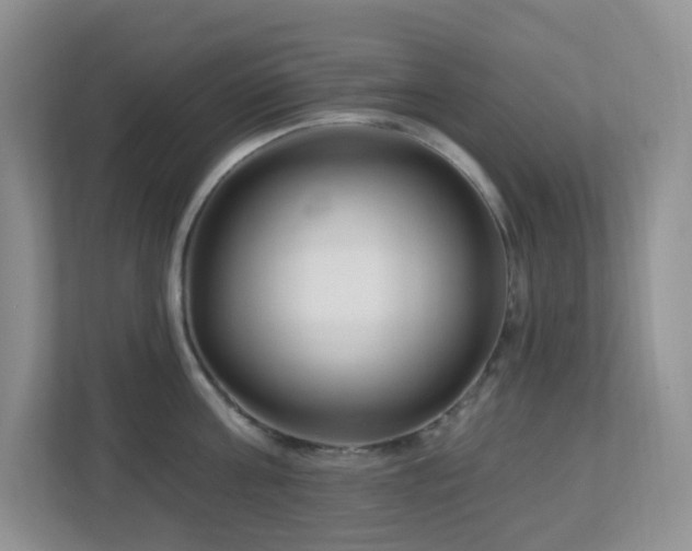 X0000112760811200908201437