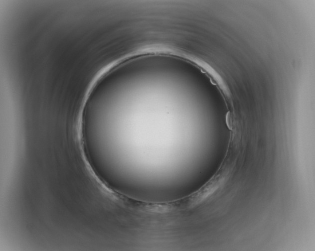 X0000112760815200908201436