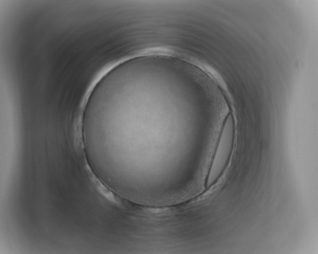 X0000112760816200908201436