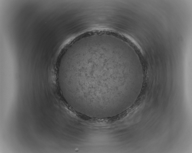 X0000112760823200908201436