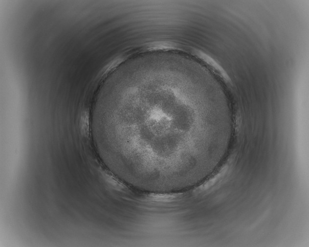 X0000112760825200908201436