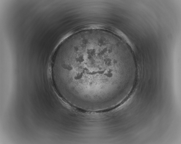 X0000112760827200908201436
