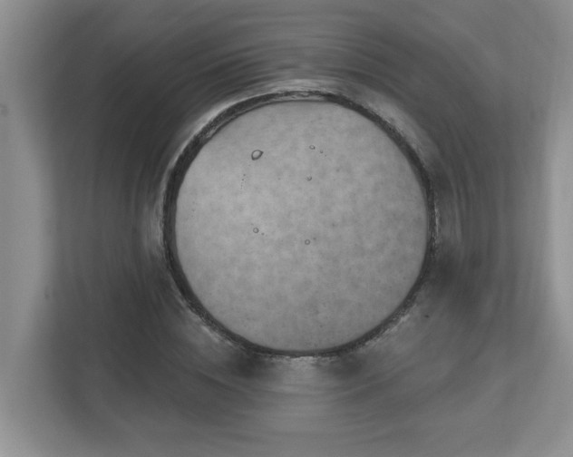 X0000112760828200908201436