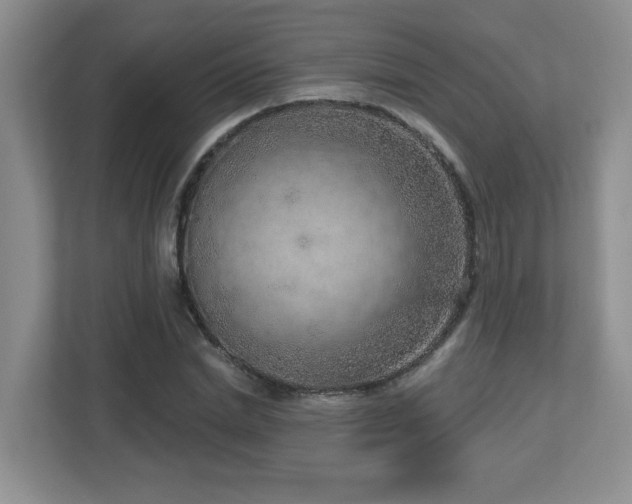 X0000112760830200908201436