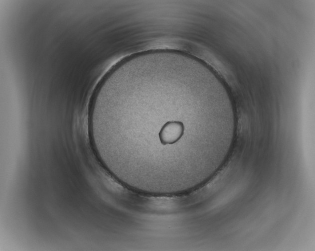 X0000112760836200908201436