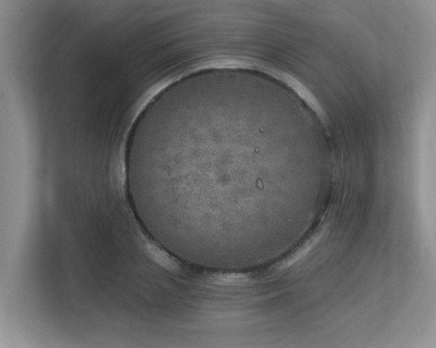 X0000112760837200908201436