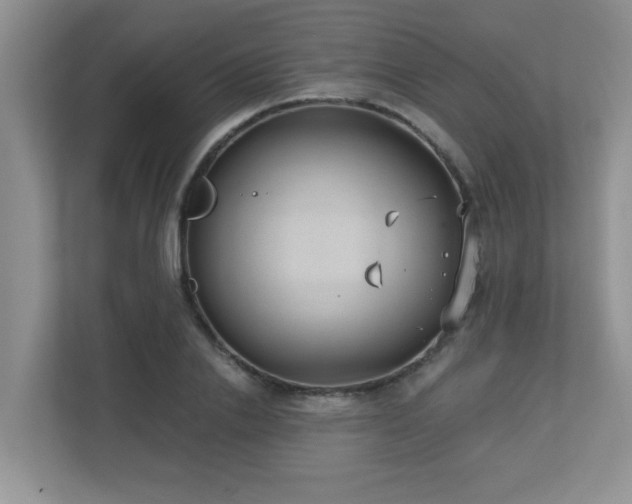 X0000112760838200908201436