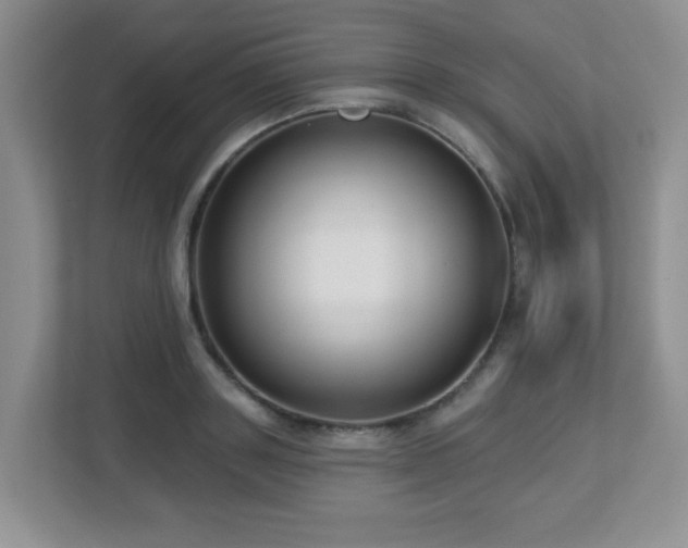 X0000112760843200908201436