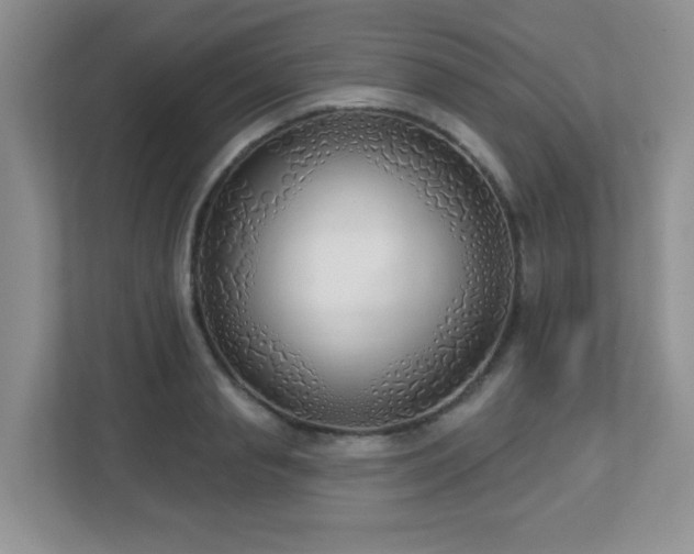 X0000112760845200908201436
